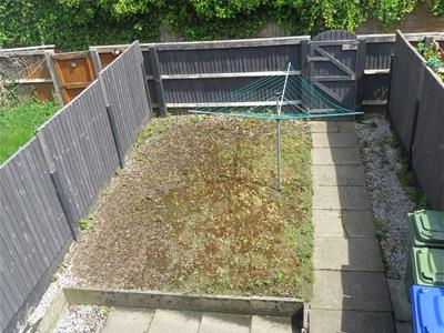 Picture 16